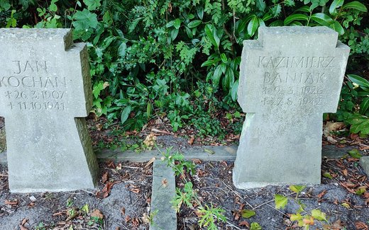 Ansicht der Kriegsgräberstätte Jade, Friedhof