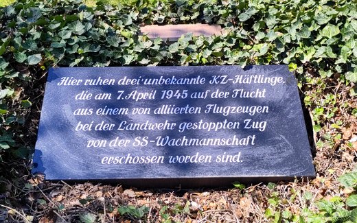 Ansicht der Kriegsgräberstätte Badenhausen, Ev.- luth. Friedhof