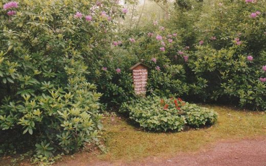 Ansicht der Kriegsgräberstätte Aschaffenburg, Waldfriedhof