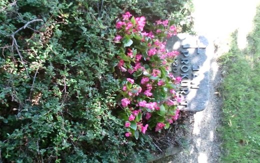 Ansicht der Kriegsgräberstätte Baddeckenstedt, Ev.- luth. Friedhof