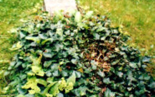 Ansicht der Kriegsgräberstätte Bad Laasphe-Kunst-Wittgenstein