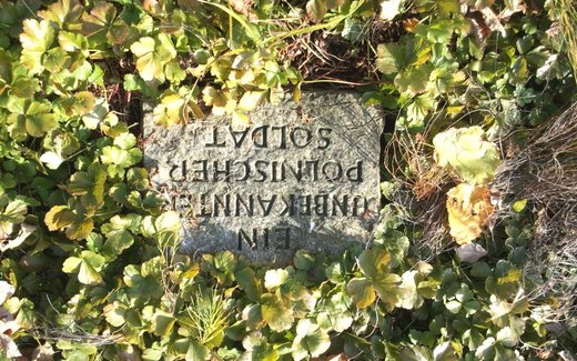 Ansicht der Kriegsgräberstätte Bergen/Dumme, Ev.- luth. Friedhof