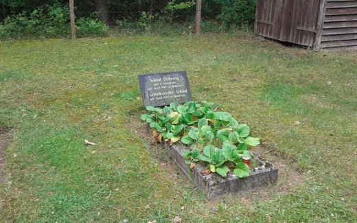 Ansicht der Kriegsgräberstätte Bebersee