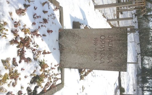 Ansicht der Kriegsgräberstätte Alfeld/Leine-Sack