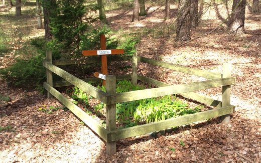 Ansicht der Kriegsgräberstätte Nahrendorf - Neestahl, Zwangsarbeitergrab im Wald
