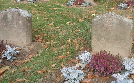 Ansicht der Kriegsgräberstätte Laatzen-Am Brocksberg