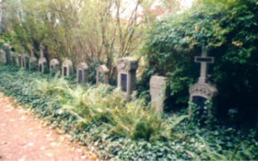 Ansicht der Kriegsgräberstätte Bad Salzuflen-Schötmar