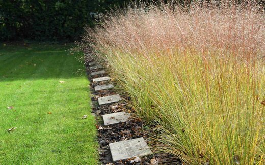 Ansicht der Kriegsgräberstätte Bensheim-Auerbach