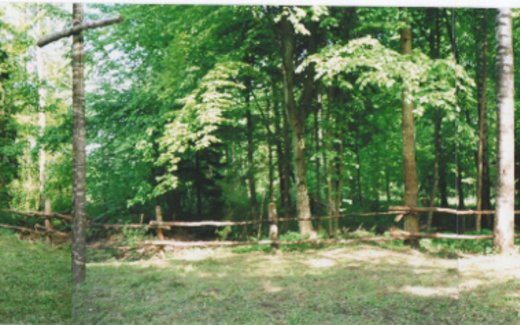 Ansicht der Kriegsgräberstätte Alt-Sauswalde