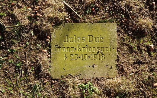 Ansicht der Kriegsgräberstätte Dahlenburg, Neuer Ev.- luth. Friedhof