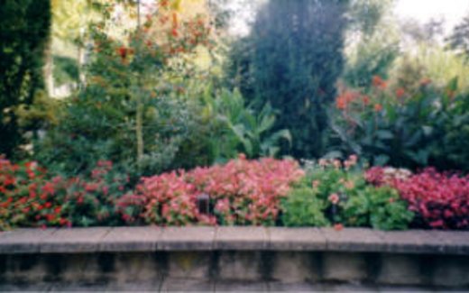 Ansicht der Kriegsgräberstätte Alfter-Witterschlick-Gemeindefriedhof