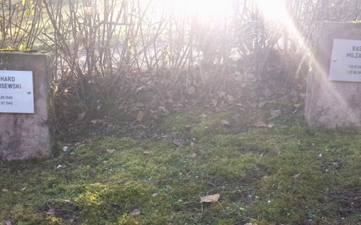 Ansicht der Kriegsgräberstätte Bad Lauterberg, Bergfriedhof