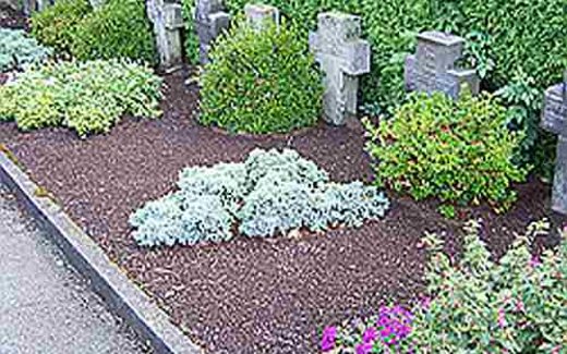 Ansicht der Kriegsgräberstätte Radevormwald-Evangelisch Lutherischer Friedhof