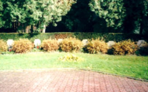 Ansicht der Kriegsgräberstätte Bergheim-Gemeindefriedhof