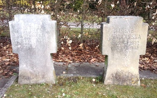 Ansicht der Kriegsgräberstätte Ganderkesee, Neuer Ev.- luth. Friedhof