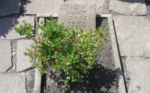 Ansicht der Kriegsgräberstätte Barnstorf, Ev. - luth. Friedhof