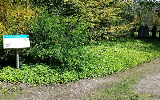 Ansicht der Kriegsgräberstätte Alfeld/Leine