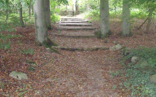 Ansicht der Kriegsgräberstätte Aukrug-Homfeld
