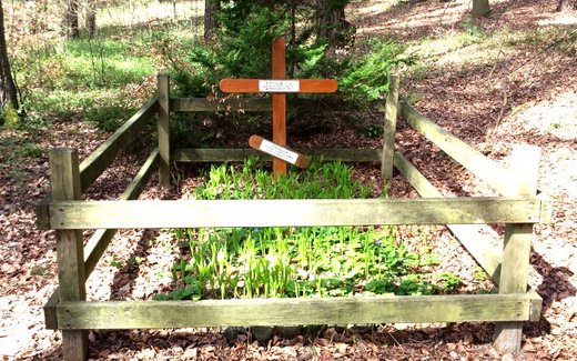 Ansicht der Kriegsgräberstätte Nahrendorf - Neestahl, Zwangsarbeitergrab im Wald
