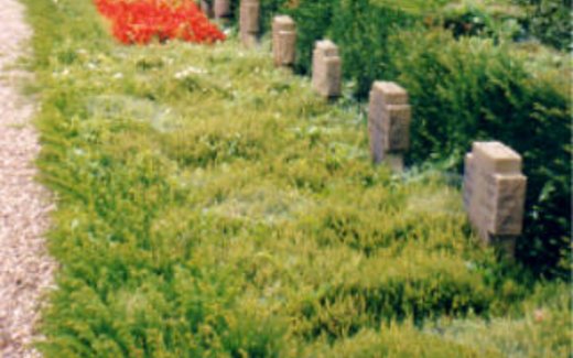 Ansicht der Kriegsgräberstätte Xanten-Lüttingen