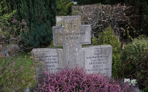 Ansicht der Kriegsgräberstätte Alfeld/Leine-Limmer, ev.luth. Friedhof