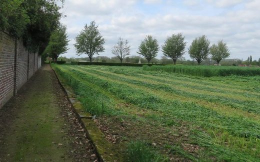 Ansicht der Kriegsgräberstätte Cambrin (Mil.-Fdh.)