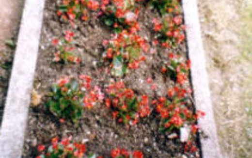 Ansicht der Kriegsgräberstätte Bad Berleburg-Weidenhausen-Evangelischer Friedhof