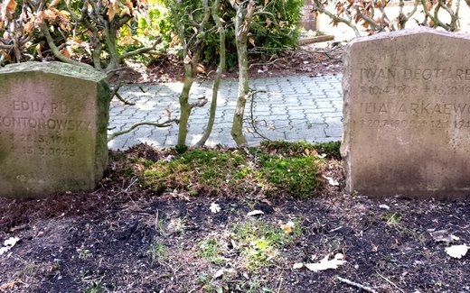 Ansicht der Kriegsgräberstätte Bad Sachsa, Ev.- luth. Gemeindefriedhof