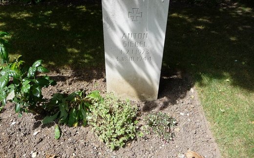 Ansicht der Kriegsgräberstätte Basingstoke