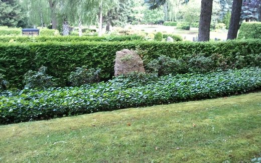 Ansicht der Kriegsgräberstätte Bad Harzburg, Stadt- u. Ehrenfriedhof