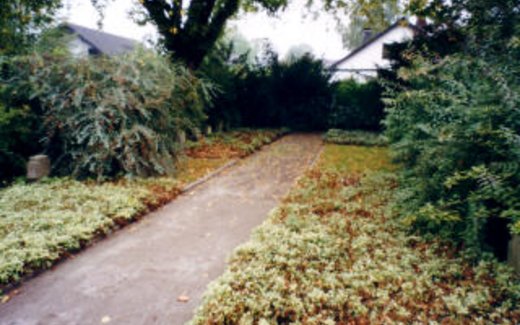 Ansicht der Kriegsgräberstätte Alpen-Gemeindefriedhof