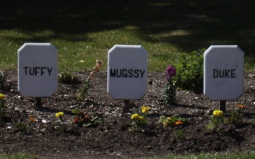 Ansicht der Kriegsgräberstätte Benicia/Cal.