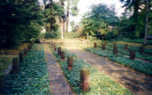 Ansicht der Kriegsgräberstätte Augustdorf-Gemeindefriedhof