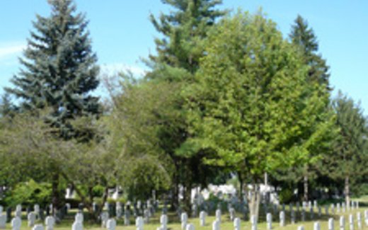 Ansicht der Kriegsgräberstätte Nagykanizsa