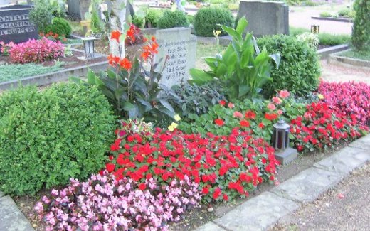 Ansicht der Kriegsgräberstätte Alfter-Gielsdorf-Gemeindefriedhof