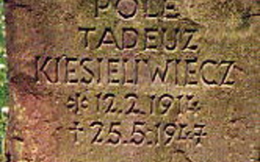 Ansicht der Kriegsgräberstätte Bad Münder - Stadtfriedhof