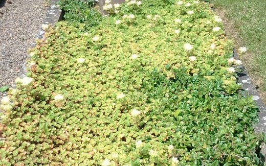 Ansicht der Kriegsgräberstätte Kalefeld - Eboldshausen, Ev.- luth. Friedhof