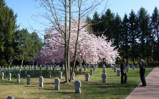 Ansicht der Kriegsgräberstätte Nagykanizsa