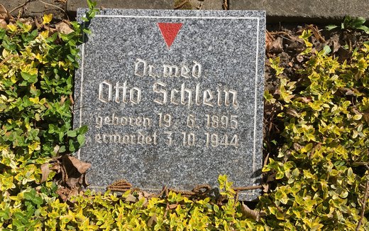 Ansicht der Kriegsgräberstätte Magdeburg, Westfrdh.