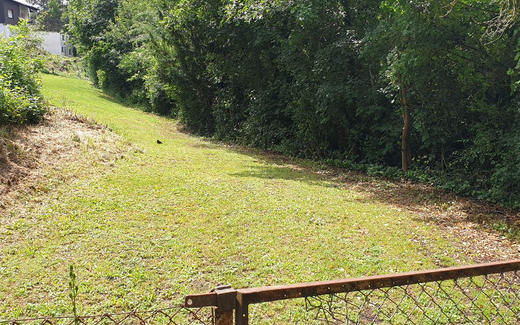 Ansicht der Kriegsgräberstätte Idstein-Kalmenhof