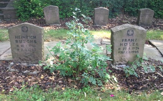 Ansicht der Kriegsgräberstätte Bad Nenndorf - Stadtfriedhof, Kriegsgräberstätte