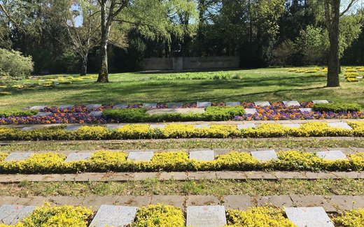 Ansicht der Kriegsgräberstätte Magdeburg, Westfrdh.