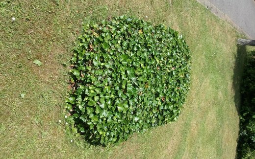 Ansicht der Kriegsgräberstätte Bad Harzburg - Schlewecke, Städt. Ortsteilfriedhof