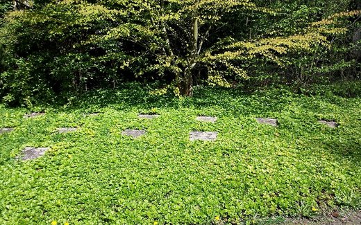 Ansicht der Kriegsgräberstätte Alfeld/Leine